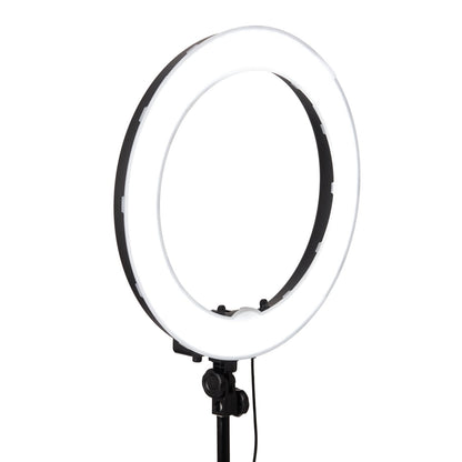 Classic 19" Ring Light | Luvo Store