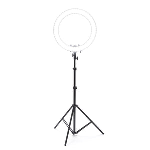 Classic 19" Ring Light | Luvo Store