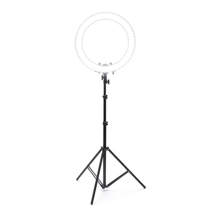 Classic 19" Ring Light | Luvo Store